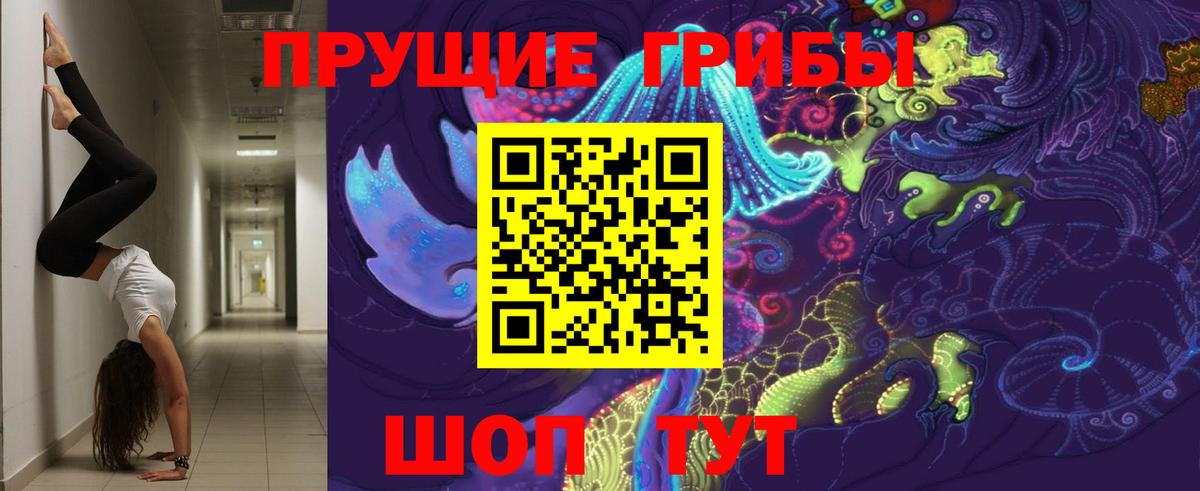 Десногорск  Галлюциногенные грибы Psilocybine cubensis  Галлюциногенные грибы прущие грибы  Вход с VPN 